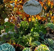 Chardonnay Lodge hotel detail image 5
