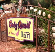 Baby Quail Inn hotel detail image 5