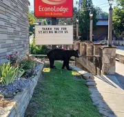 Econo Lodge Inn & Suites On The River hotel detail image 5
