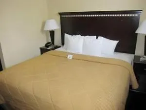 Travelodge by Wyndham Ozone Park hotel detail image 2