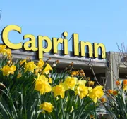 Capri Inn hotel detail image 5