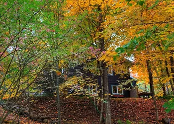 Auberge Le Lupin B&B hotel thumbnail 5