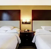 Embassy Suites by Hilton Savannah Airport hotel detail image 7
