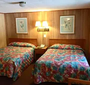 Elmwood Motor Lodge hotel detail image 4