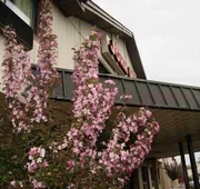 Rodeway Inn Syracuse Carrier Circle hotel detail image 4