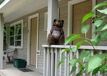 Bear Tree Lodge hotel thumbnail 2
