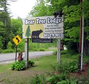 Bear Tree Lodge hotel detail image 4