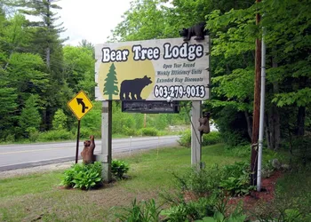 Bear Tree Lodge hotel thumbnail 4