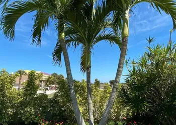 Beachside Resort Motel hotel thumbnail 7