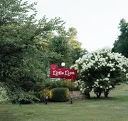 The Little Lion hotel detail image 4
