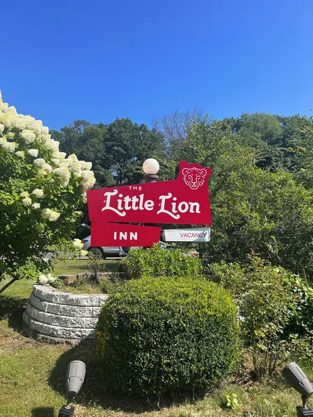 The Little Lion hotel detail image 6