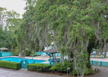 Steinhatchee River Inn hotel thumbnail 3