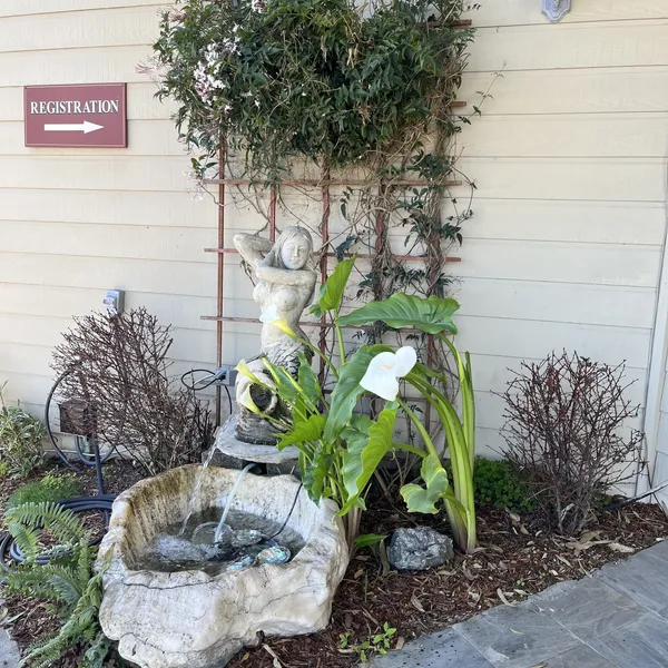 North Cliff Hotel hotel detail image 2