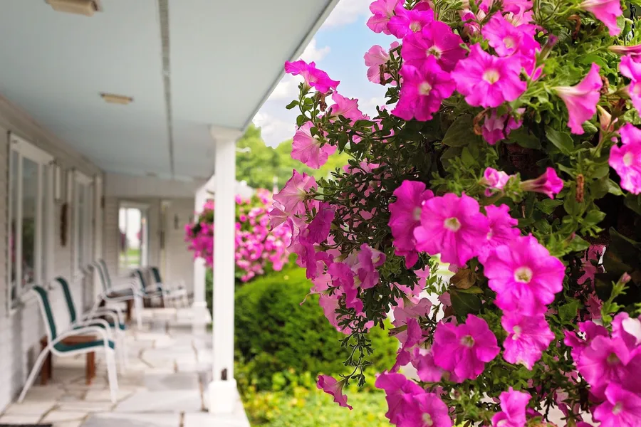 The Palmer House Resort, an Ascend Collection Hotel hotel detail image 2