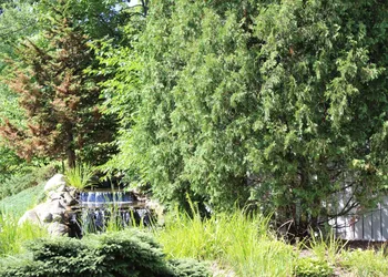 The Harrington Inn hotel thumbnail 4