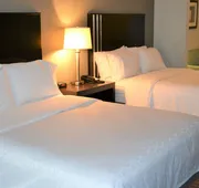 Holiday Inn Express Hotel & Suites Selinsgrove by IHG hotel detail image 5