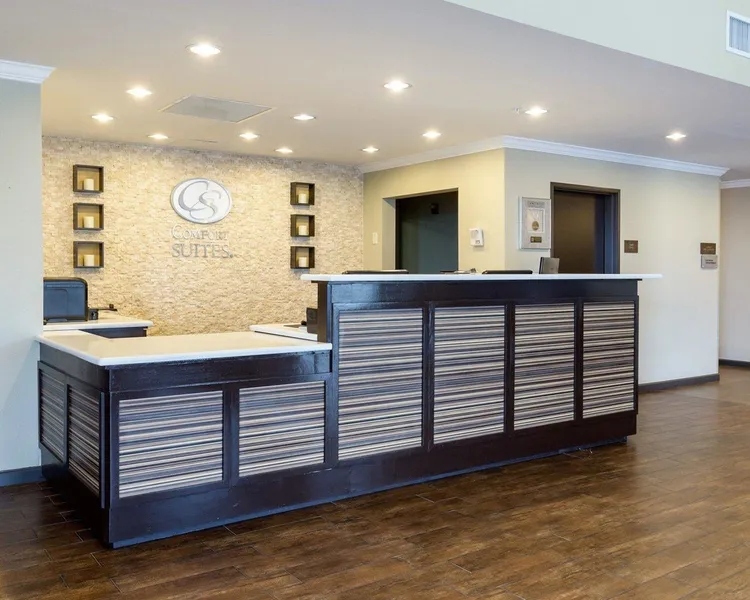 Comfort Suites near Westchase on Beltway 8 hotel detail image 6