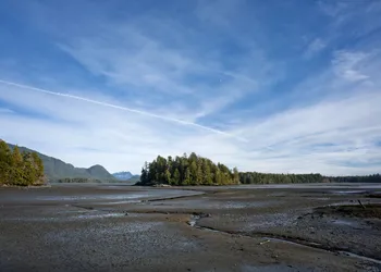 Hotel Zed Tofino hotel thumbnail 3