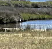 Cape Hatteras Motel hotel detail image 7
