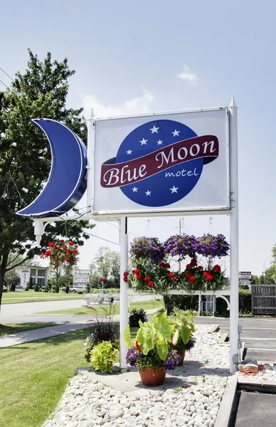 Blue Moon Motel hotel detail image 2