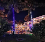 Downtown Hollywood Gardens Inn & Suites hotel detail image 4