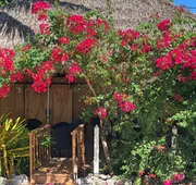 The Pelican Key Largo Cottages hotel detail image 7