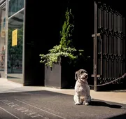 Park Hyatt New York hotel detail image 4