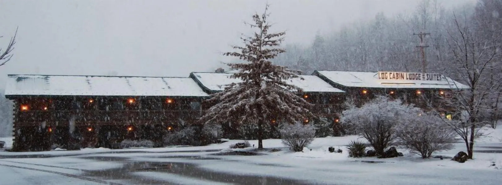 Log Cabin Lodge & Suites hotel detail image 2