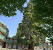 Robin Hood Inn & Suites hotel detail image 7