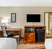 Comfort Inn & Suites St. Pete - Clearwater International Airport hotel detail image 3