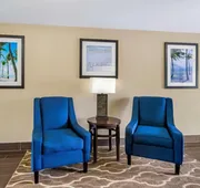 Comfort Inn & Suites St. Pete - Clearwater International Airport hotel detail image 5