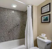 Comfort Inn & Suites St. Pete - Clearwater International Airport hotel detail image 7