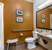 Quality Suites Addison - Dallas hotel detail image 5