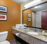 Quality Suites Addison - Dallas hotel detail image 7