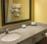 Quality Inn Williamston hotel detail image 4