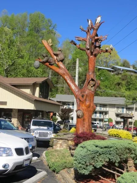 Mountain House Inn Gatlinburg hotel detail image 2