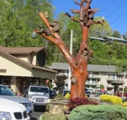 Mountain House Inn Gatlinburg hotel detail image 3