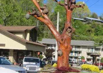 Mountain House Inn Gatlinburg hotel thumbnail 3