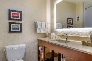 Comfort Suites Savannah Gateway I-95 hotel detail image 2