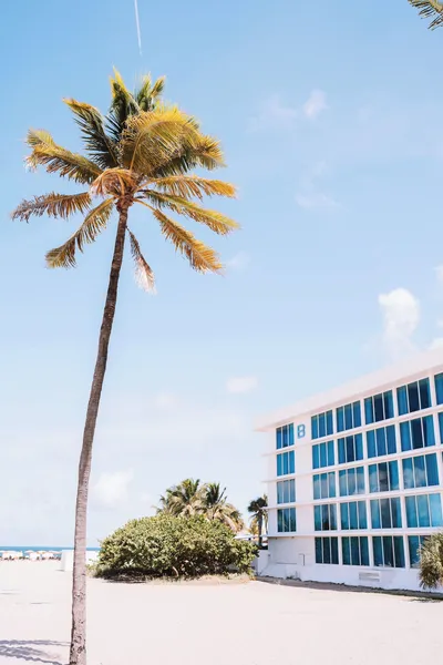 B Ocean Resort Fort Lauderdale Beach hotel detail image 2