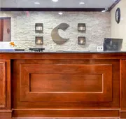 Comfort Inn Hoffman Estates - Schaumburg hotel detail image 4