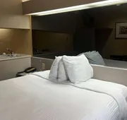 Microtel Inn & Suites by Wyndham Houston hotel detail image 4