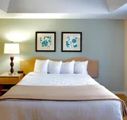 Club Wyndham Orlando International hotel detail image 3