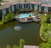 Sheraton Vistana Villages Resort Villas, I-Drive/Orlando hotel detail image 7