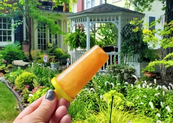 Pettigru Place Bed & Breakfast hotel thumbnail 8