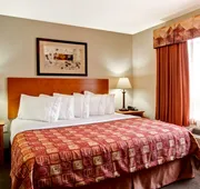 Canalta Rocky Mountain House hotel detail image 4
