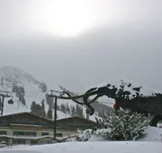 Alpenhof Lodge hotel detail image 3
