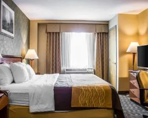 Comfort Inn Brooklyn hotel thumbnail 5