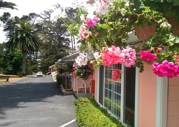 Butterfly Grove Inn hotel thumbnail 6