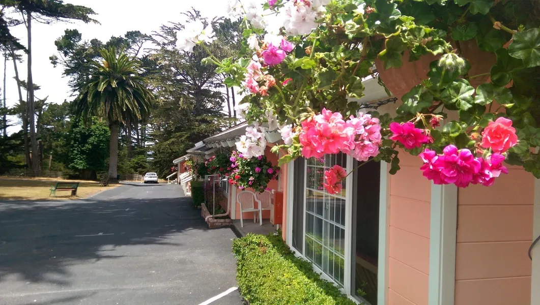 Butterfly Grove Inn hotel detail image 6